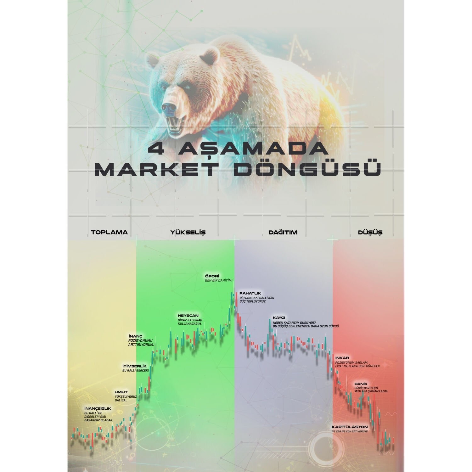 4 Aşamada Market Döngüsü Dekoratif Poster - Açık Tema (ÇERÇEVESİZ)
